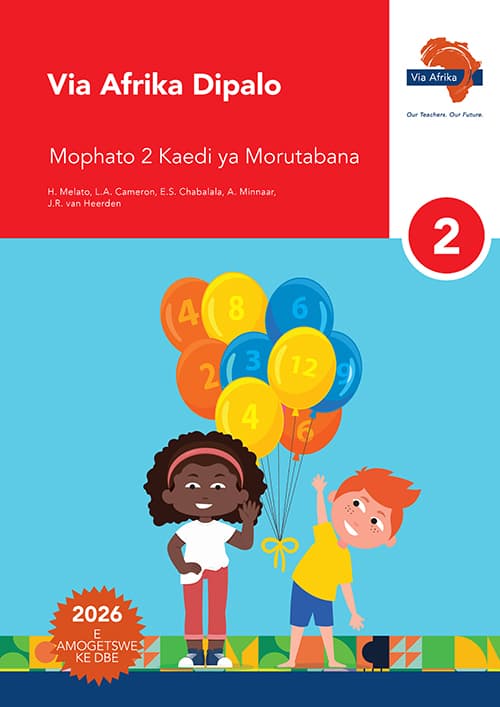 Mathematics Grade 2 Teacher's Guide